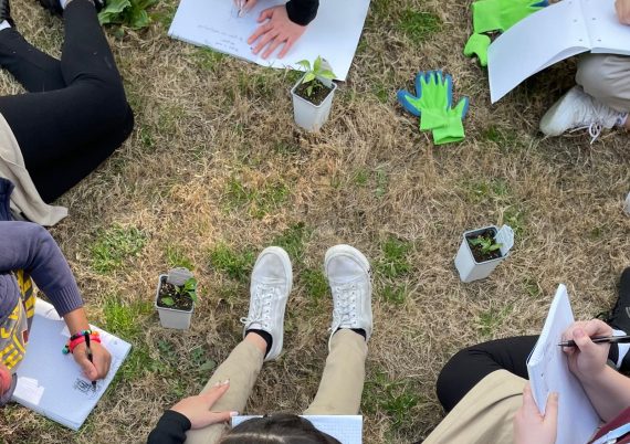 ILT Diverse Girls Observing Plants 2