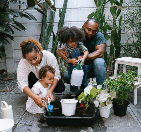 Happy African American family with two children planting a tree and watering it together in garden at home on summer day. Black Family enjoying weekend at home together. Lifestyle outdoor concept.