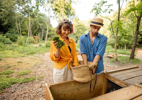 Young couple throwing cut grass to compost wooden bin for rotting into fertilizer for the garden. Concept of organic fertilizers for growing food