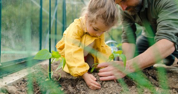 A father learning his little daughter to care about organic plants in eco greenhouse, sustainable lifestyle.Close up.