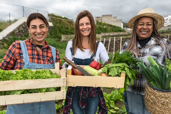 Multiracial female farmers working in countryside harvesting fresh vegetables - Farm people lifestyle concept