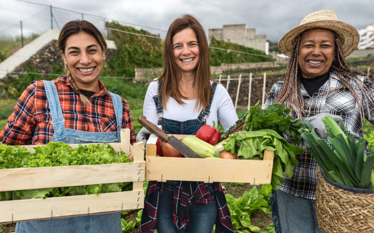 Multiracial female farmers working in countryside harvesting fresh vegetables - Farm people lifestyle concept
