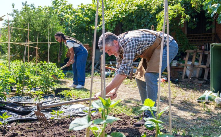 An elder man and African woman tend to a lush garden, planting crops on a sunny day.