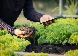 Smart farming using modern technologies in agriculture